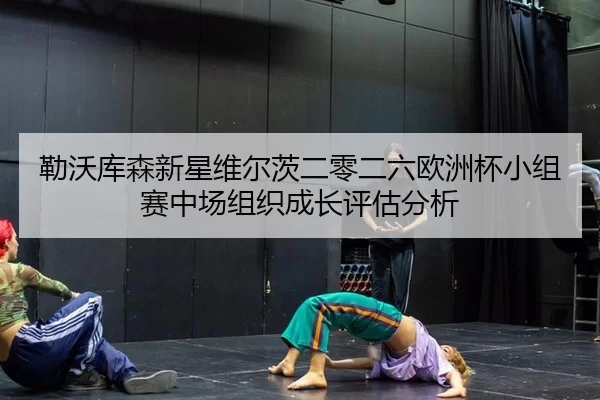 lei-wo-ku-sen-xin-xing-wei-er-ci-er-ling-er-liu-ou-zhou-bei-xiao-zu-sai-zhong-chang-zu-zhi-cheng-zhang-ping-gu-fen-xi-2-549.jpg