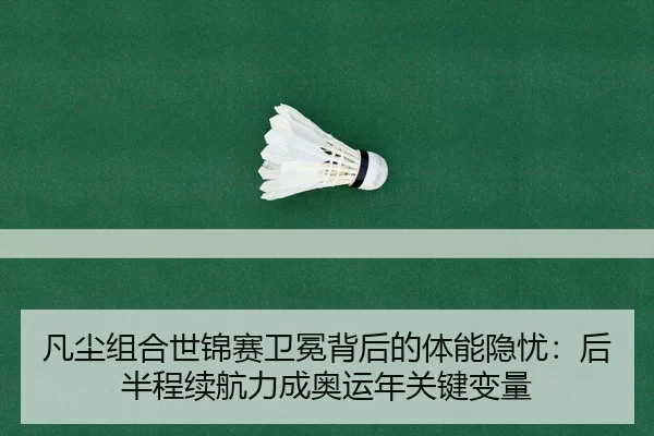 fan-chen-zu-he-shi-jin-sai-wei-mian-bei-hou-de-ti-neng-yin-you-hou-ban-cheng-xu-hang-li-cheng-ao-yun-nian-guan-jian-1-140.jpg